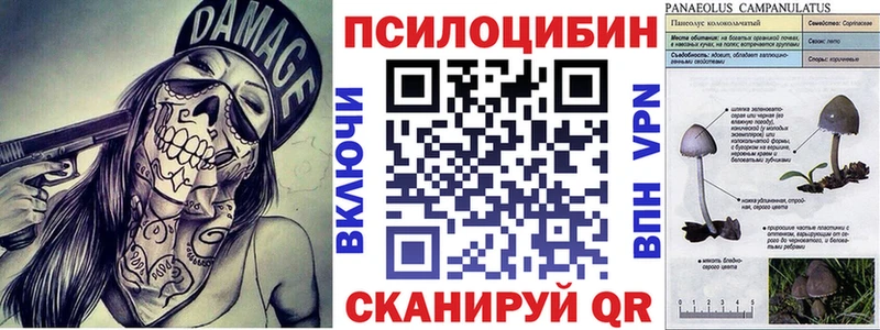 Купить закладки  Чернушка  Галлюциногенные грибы мицелий 
