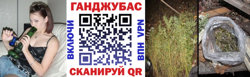 Купить где  Чернушка  Канабис OG Kush 